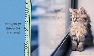 Cats Are Cheaper than Therapy: Life Advice from Feline Expurrts [KSIĄŻKA]