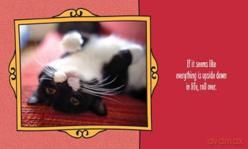 Cats Are Cheaper than Therapy: Life Advice from Feline Expurrts [KSIĄŻKA]