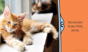 Cats Are Cheaper than Therapy: Life Advice from Feline Expurrts [KSIĄŻKA]