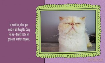 Cats Are Cheaper than Therapy: Life Advice from Feline Expurrts [KSIĄŻKA]