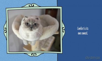 Cats Are Cheaper than Therapy: Life Advice from Feline Expurrts [KSIĄŻKA]