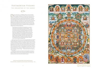 Celestial Galleries: The Complete Collection - Romio Shrestha [KSIĄŻKA]