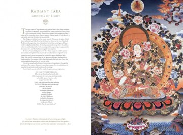 Celestial Galleries: The Complete Collection - Romio Shrestha [KSIĄŻKA]