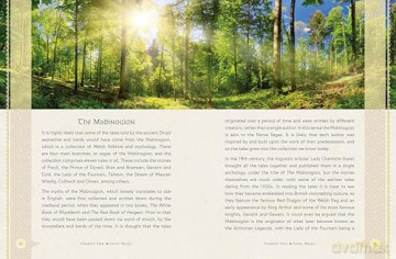 Celtic Magic: Spellcrafting with the gods and goddesses of the Celtic tradition (Arcturus Gilded Magic) - Marie Bruce [KSIĄŻKA]