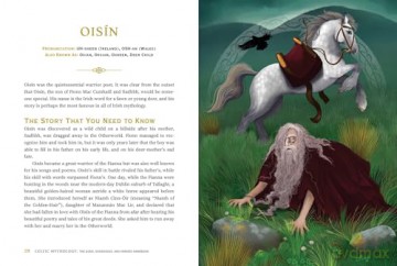 Celtic Mythology: The Gods, Goddesses, and Heroes Handbook (World Mythology and Folklore Series) - Sorcha Hegarty [KSIĄŻKA]
