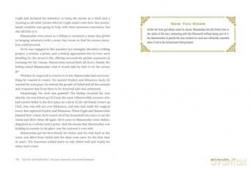 Celtic Mythology: The Gods, Goddesses, and Heroes Handbook (World Mythology and Folklore Series) - Sorcha Hegarty [KSIĄŻKA]