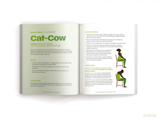 Chair Yoga for Strength and Balance: Accessible Exercises to Improve Mobility and Relieve Pain - ML Maitreyi [KSIĄŻKA]