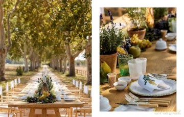Château Léoube: Provence Living - Carole Bamford [KSIĄŻKA]