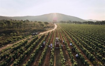 Château Léoube: Provence Living - Carole Bamford [KSIĄŻKA]