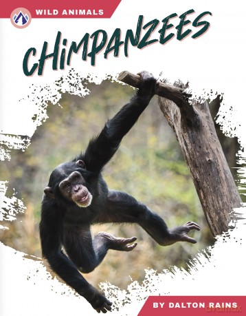 Chimpanzees (Wild Animals Set 2) - Dalton Rains [KSIĄŻKA]