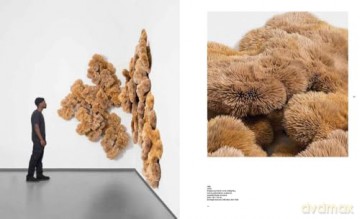 Chris Soal: To Sharpen our Senses and Soften our Touch - Nadine Barth [KSIĄŻKA]