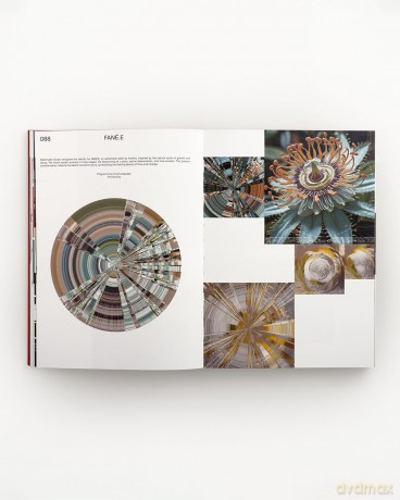CodeCrafted: Generative Design in Branding - Victionary [KSIĄŻKA]