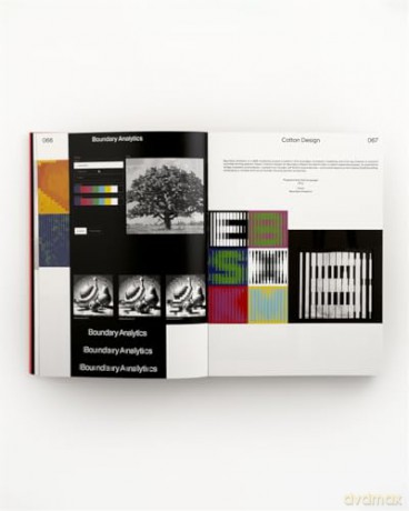 CodeCrafted: Generative Design in Branding - Victionary [KSIĄŻKA]