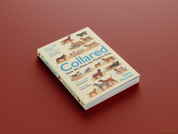 Collared: How We Made the Modern Dog - Chris Pearson [KSIĄŻKA]