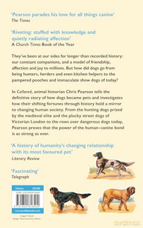 Collared: How We Made the Modern Dog - Chris Pearson [KSIĄŻKA]