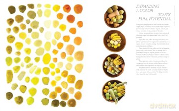 Color Curious: Find Color Inspiration All Around You for Art, Design, and Life - Ana Bianchi [KSIĄŻKA]
