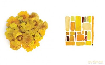 Color Curious: Find Color Inspiration All Around You for Art, Design, and Life - Ana Bianchi [KSIĄŻKA]