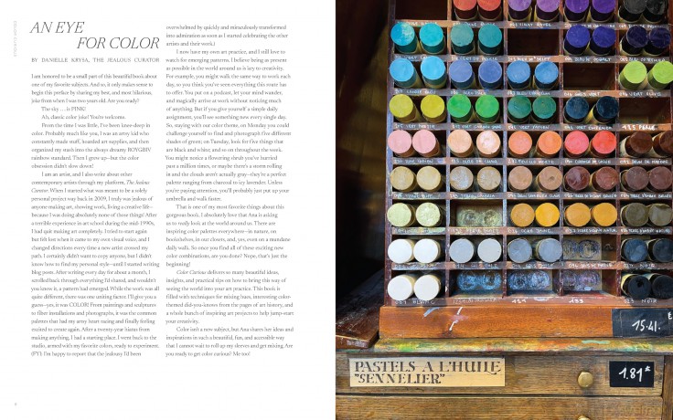 Color Curious: Find Color Inspiration All Around You for Art, Design, and Life - Ana Bianchi [KSIĄŻKA]