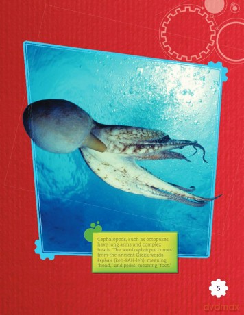 Color-Changing Cephalopods (Smithsonian: Informational Text) - Dona Herweck Rice [KSIĄŻKA]