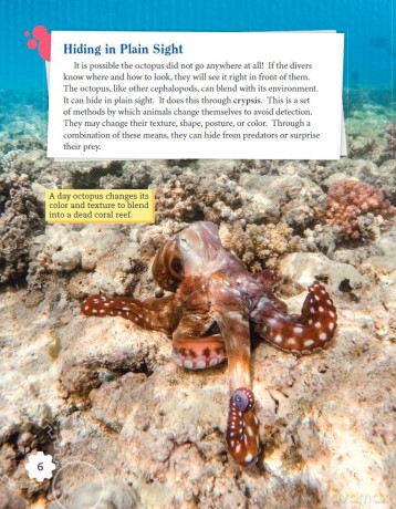 Color-Changing Cephalopods (Smithsonian: Informational Text) - Dona Herweck Rice [KSIĄŻKA]