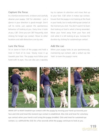 Complete Puppy School (CompanionHouse Books) Step-by-Step Guide to Choosing, Training, and Raising a Healthy, Confident Puppy for First-Time Dog Owners - Techniques for Behavior, Manners, and More - Dr. Quixi Sonntag [KSIĄŻKA]