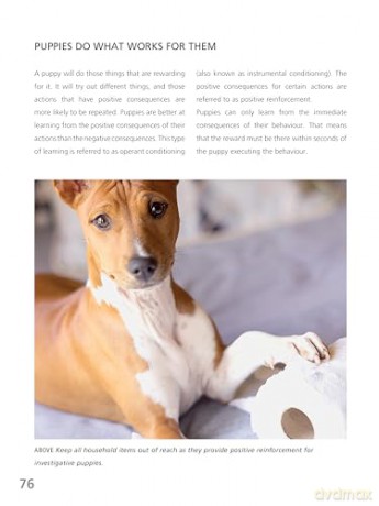 Complete Puppy School (CompanionHouse Books) Step-by-Step Guide to Choosing, Training, and Raising a Healthy, Confident Puppy for First-Time Dog Owners - Techniques for Behavior, Manners, and More - Dr. Quixi Sonntag [KSIĄŻKA]