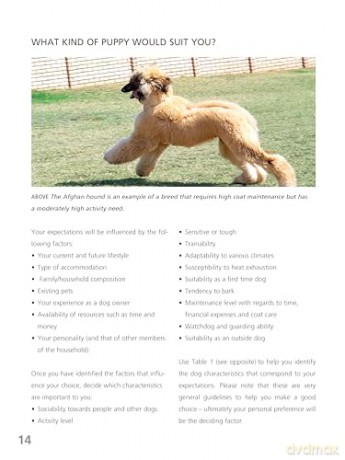 Complete Puppy School (CompanionHouse Books) Step-by-Step Guide to Choosing, Training, and Raising a Healthy, Confident Puppy for First-Time Dog Owners - Techniques for Behavior, Manners, and More - Dr. Quixi Sonntag [KSIĄŻKA]