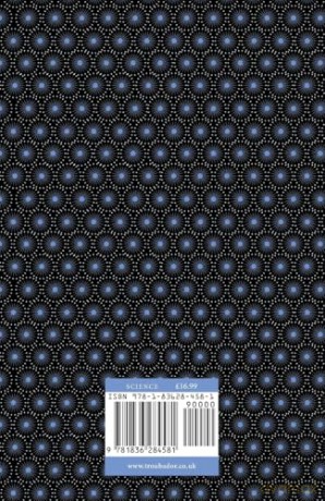 Concentric Gravity: A Retired Electro-Hydraulic Rotating Power Plant System Engineer's Understanding Of The Universe - David G H Crawford [KSIĄŻKA]