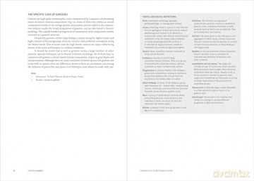 Conservation of Granite in Cultural Heritage - Jose Delgado Rodrigues [KSIĄŻKA]