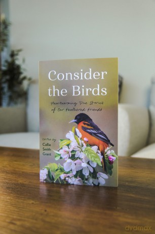 Consider the Birds: Heartwarming True Stories of Our Feathered Friends - Callie Smith Grant [KSIĄŻKA]