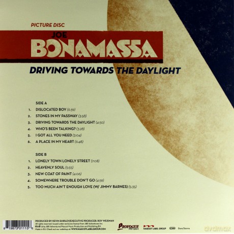 Joe Bonamassa: Driving Towards The Daylight Picture [Winyl]