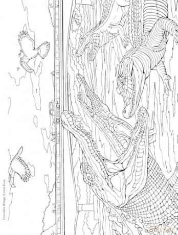 Creative Haven Bridges Coloring Book - George Toufexis [KSIĄŻKA]