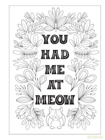 Creative Haven Cat Mom Coloring Book - Jo Taylor [KSIĄŻKA]