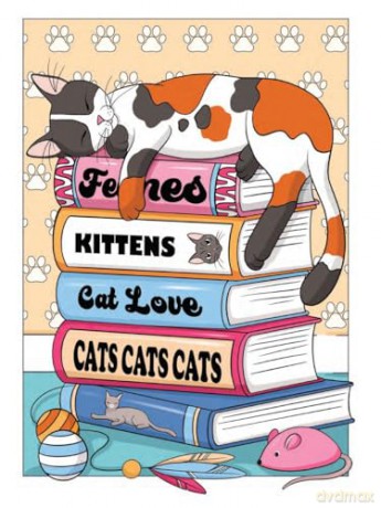 Creative Haven Cat Mom Coloring Book - Jo Taylor [KSIĄŻKA]