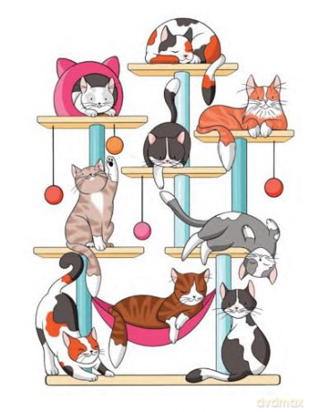 Creative Haven Cat Mom Coloring Book - Jo Taylor [KSIĄŻKA]