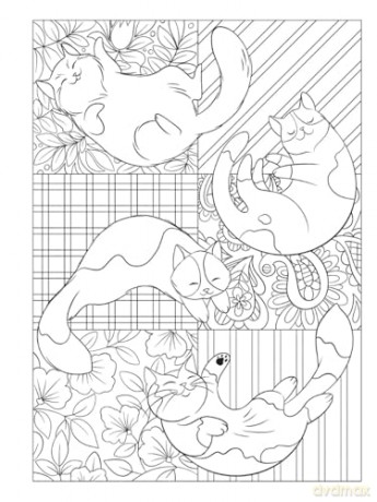 Creative Haven Cat Mom Coloring Book - Jo Taylor [KSIĄŻKA]