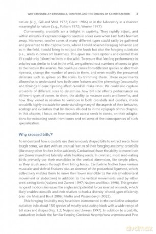Crossbills and Conifers: One Million Years of Adaptation and Coevolution - Craig Benkman [KSIĄŻKA]