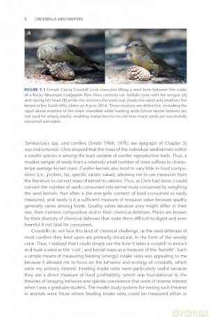 Crossbills and Conifers: One Million Years of Adaptation and Coevolution - Craig Benkman [KSIĄŻKA]