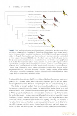 Crossbills and Conifers: One Million Years of Adaptation and Coevolution - Craig Benkman [KSIĄŻKA]