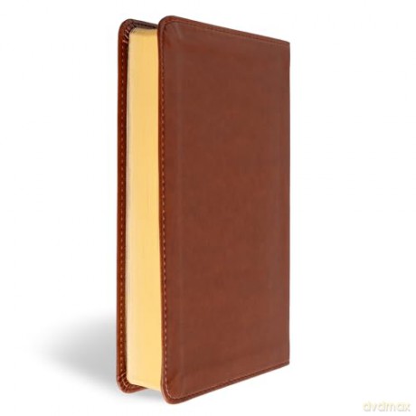 CSB In His Grip Golfer's Bible, Brown LeatherTouch - CSB Bibles by Holman [KSIĄŻKA]