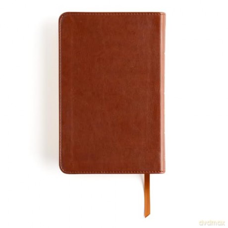 CSB In His Grip Golfer's Bible, Brown LeatherTouch - CSB Bibles by Holman [KSIĄŻKA]