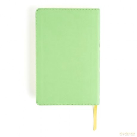 CSB Kids Bible, Anglicised Edition, Light Green LeatherTouch - CSB Bibles by Holman [KSIĄŻKA]