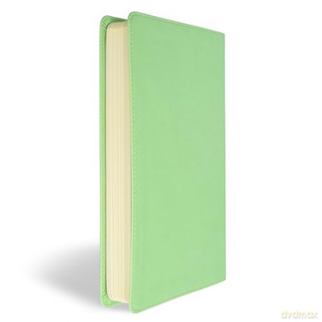 CSB Kids Bible, Anglicised Edition, Light Green LeatherTouch - CSB Bibles by Holman [KSIĄŻKA]