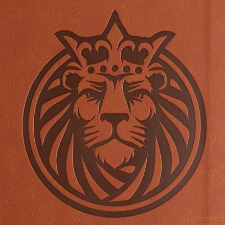 CSB Kids Bible, Anglicised Edition, Lion LeatherTouch - CSB Bibles by Holman [KSIĄŻKA]
