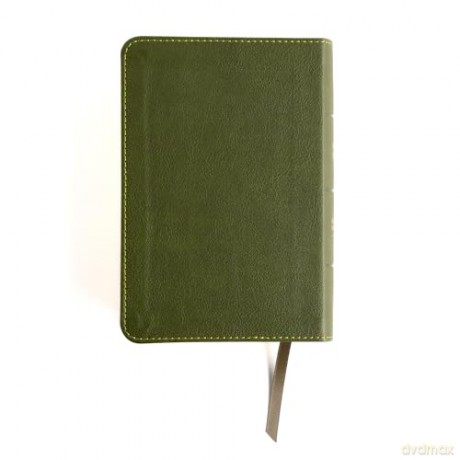 CSB Large Print Compact Reference Bible, Digital Study Edition, Olive LeatherTouch - CSB Bibles by Holman [KSIĄŻKA]