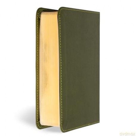 CSB Large Print Compact Reference Bible, Digital Study Edition, Olive LeatherTouch - CSB Bibles by Holman [KSIĄŻKA]