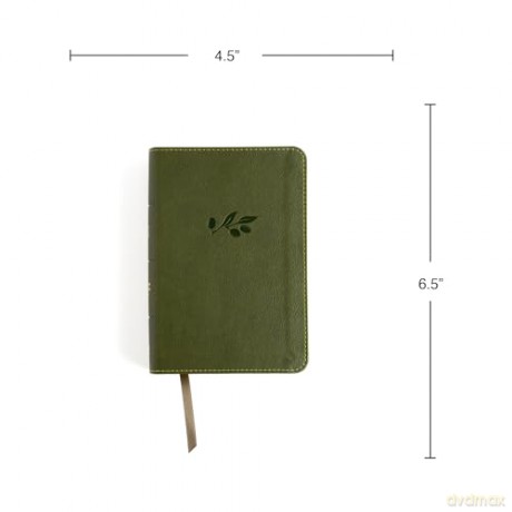 CSB Large Print Compact Reference Bible, Digital Study Edition, Olive LeatherTouch - CSB Bibles by Holman [KSIĄŻKA]