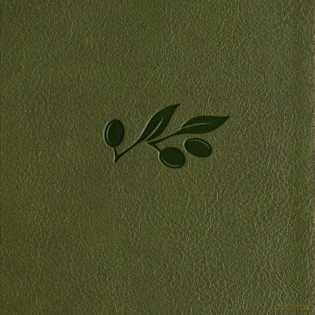 CSB Large Print Compact Reference Bible, Digital Study Edition, Olive LeatherTouch - CSB Bibles by Holman [KSIĄŻKA]