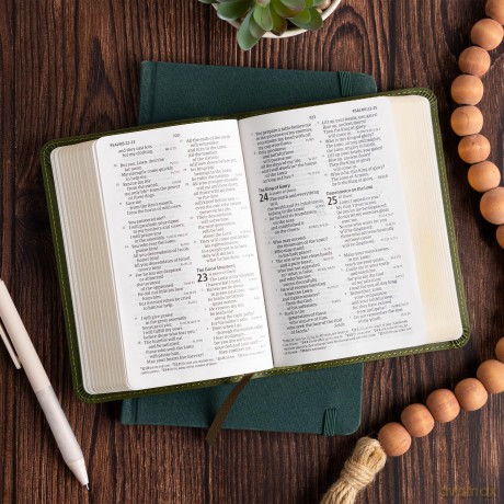 CSB Large Print Compact Reference Bible, Digital Study Edition, Olive LeatherTouch - CSB Bibles by Holman [KSIĄŻKA]