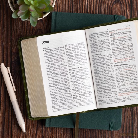 CSB Large Print Compact Reference Bible, Digital Study Edition, Olive LeatherTouch - CSB Bibles by Holman [KSIĄŻKA]